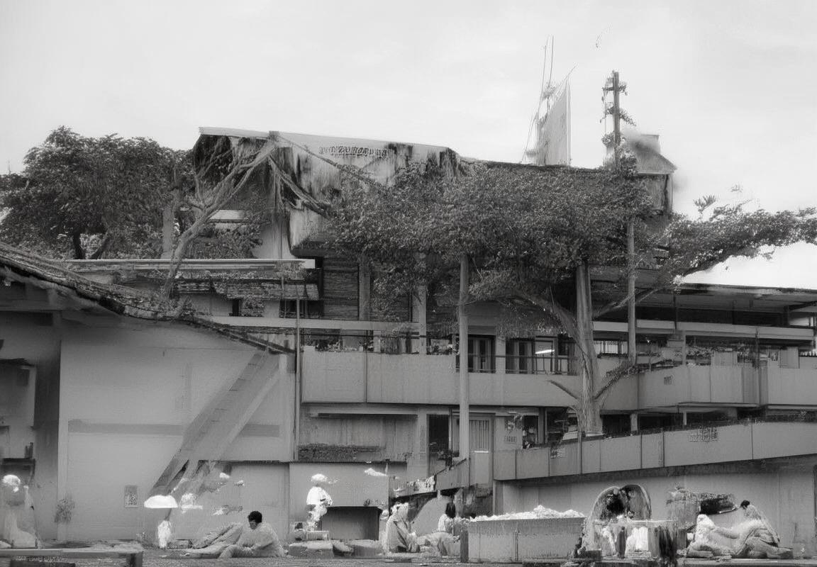 2016里约奥运男篮巅峰对决：美国梦之队VS塞尔维亚精彩对决回顾