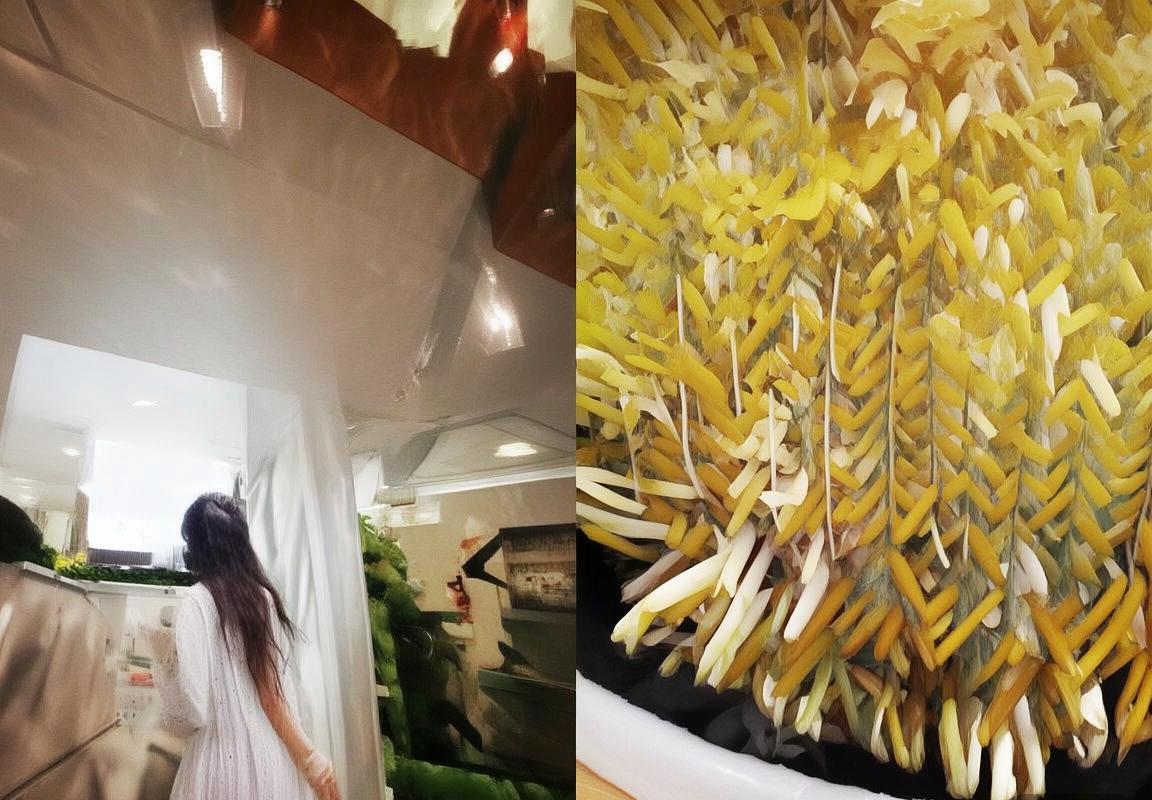 风法与雷法对决：力量与智慧的较量